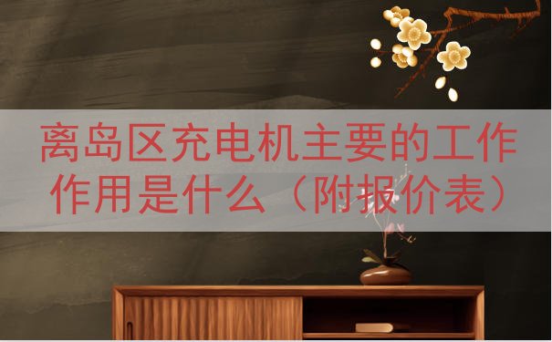 离岛区充电机主要的工作作用是什么（附报价表）